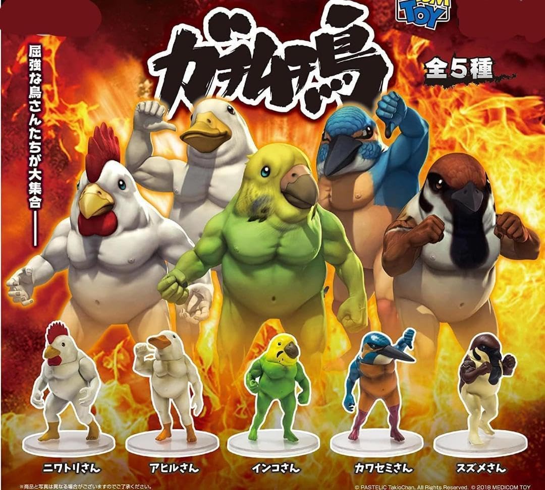 Amazon.co.jp: ガチムチ鳥 第1弾 POP台紙 全5種 ガチャ カプセルトイ