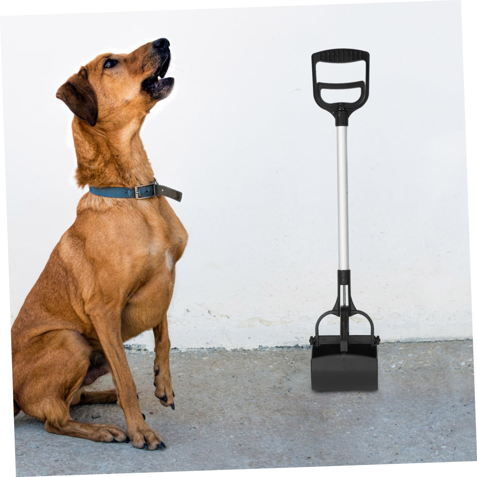 WOONEKY Ramasse-crottes Nettoyage Facile Chien pour Plastique Manche Long Couleur Aléatoire Large Ouverture et Utilisation en Extérieur pour Déjections D’Animaux
