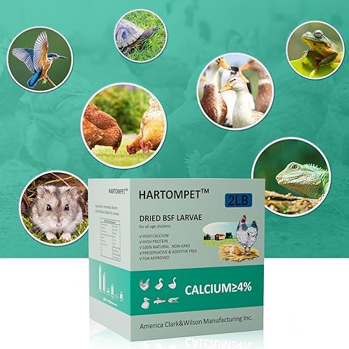 Miniatura 6 de HARTOMPET Better Than Dry Mealworms para pollos 2 libras – 85 veces más calcio que gusanos de comida – Aditivo para piensos de pollo sin OMG
