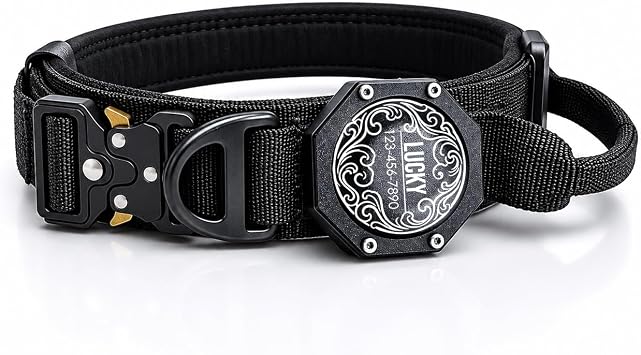 Personalized Tactical Dog Collar Holder Compatible with AirTag