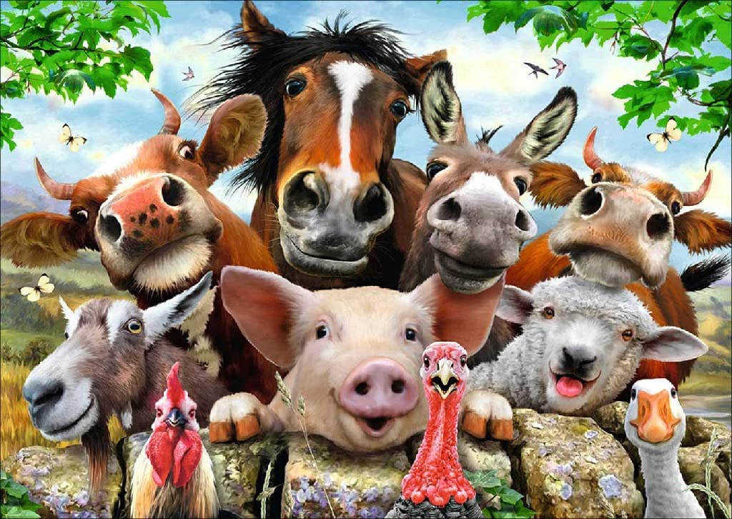 Vaiieyo Animal-12 5D Diamond Painting Kits For Adults Pig Cow, Paint With Diamonds Art Animal, Paint By Numbers Full Drill Round Rhinestone Craft Canvas For Home Wall Decor 30X40 Cm