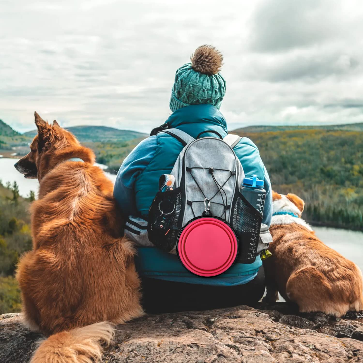Faltbarer Hundenapf, leicht und tragbar, ideal für Reisen, Wandern, Camping und den täglichen Gebrauch