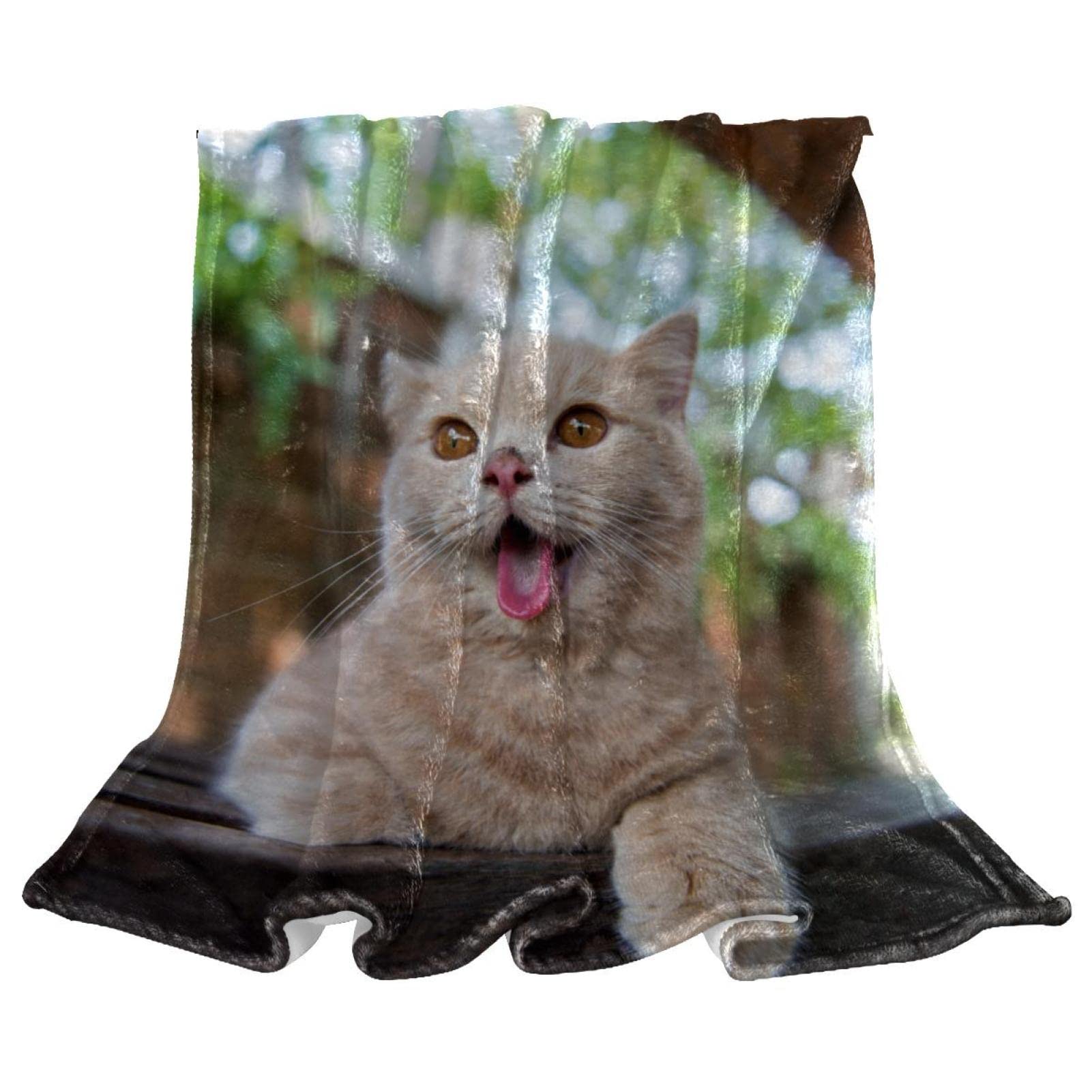 Couvertures chaudes et douces chat tbouobt pour stopper le froid en hiver