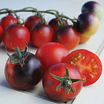 Indigo Cherry Drops Tomato Seeds 50 Seed Packet More Heirloom, Non GMO, Vegetable, Fruit, Herb, Flower Garden Seeds at Seed King Express
