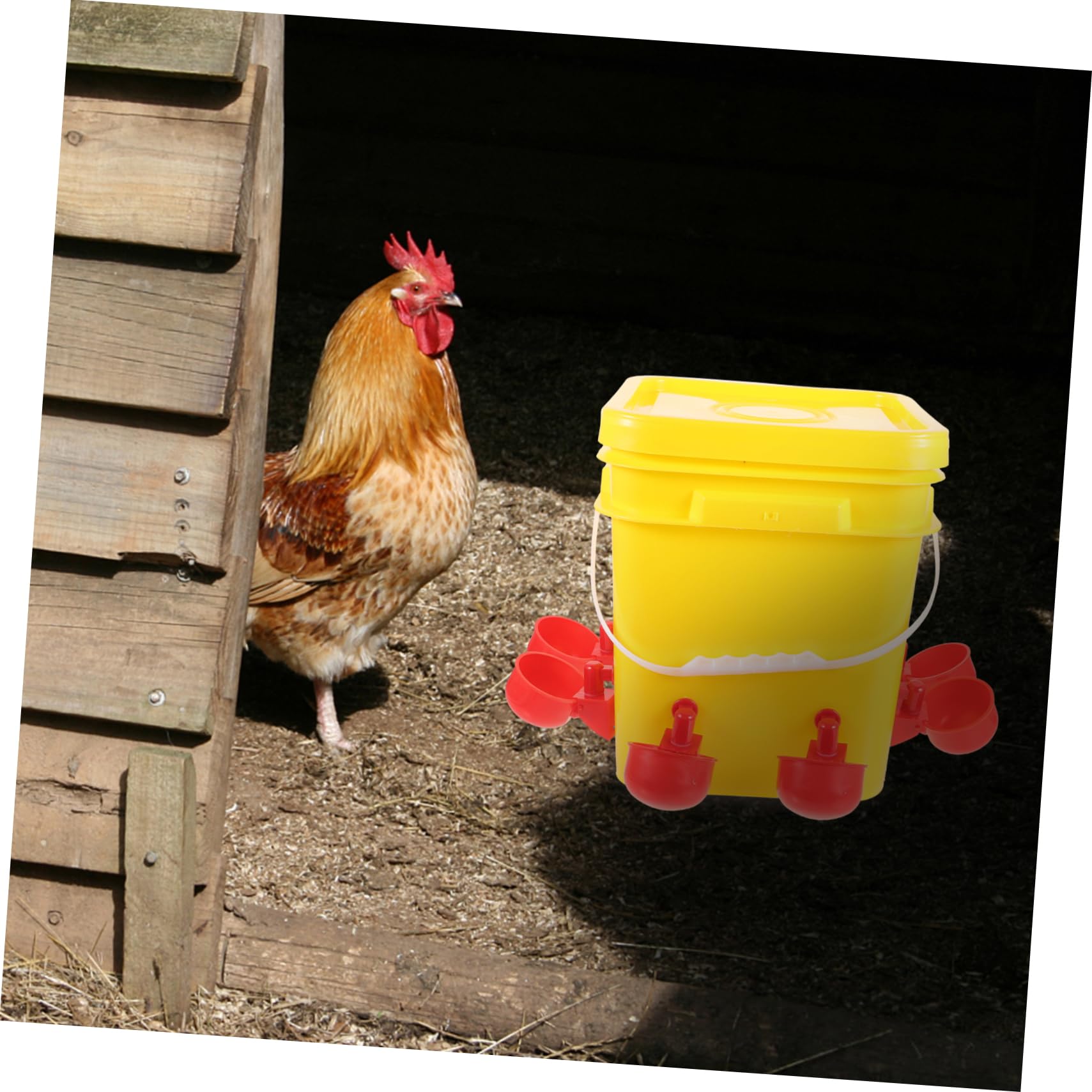 YARNOW Comedero Automático Para Pollos Juego De Alimentación Sin Desperdicios Bebedero Para Pollos