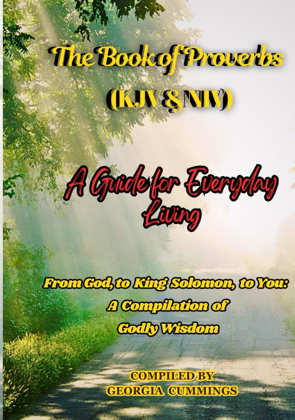 The Book of Proverbs (KJV & NIV): A Guide for Everyday Living: From God, to King Solomon, To You: A Compilation of Godly Wisdom