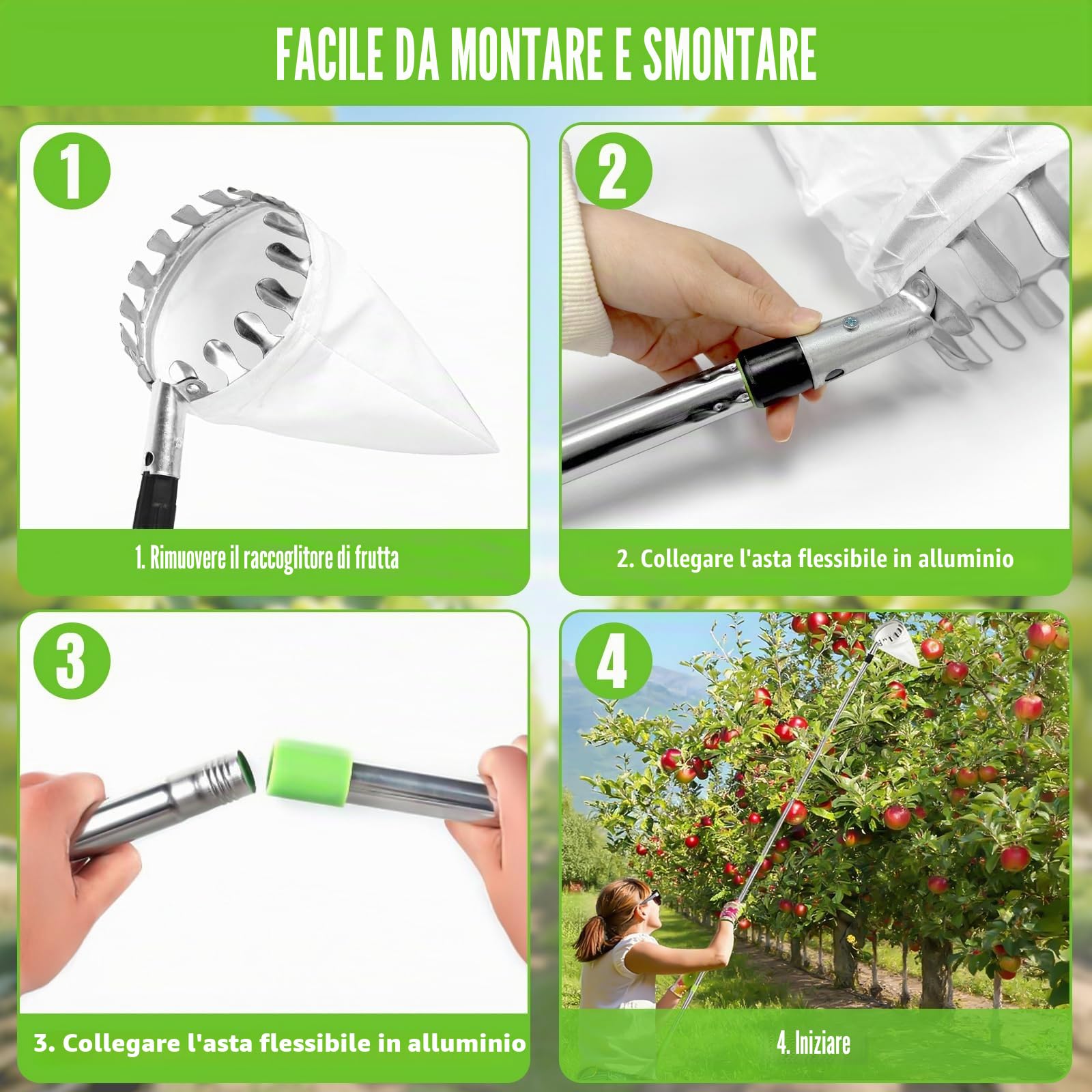 Raccogli Frutta Telescopico, Raccogli Frutta Con Palo in Acciaio Inox Leggero, Raccoglifrutta Regolabile Con Borsa in Cotone, Per Limoni Mele Pere Arance