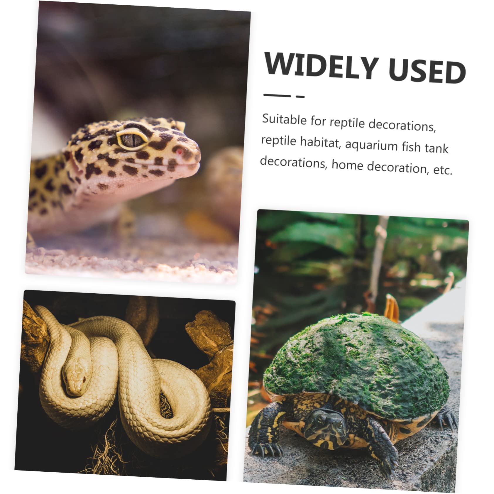 BESPORTBLE 25stücke Teiliges Künstlicher Pflanzen Für Terrarien Dekorative Pflanzen Für Reptilien Fische Schildkröten Realistische Aquarien Und Terrarium-Dekoration Aus Hochwertigem