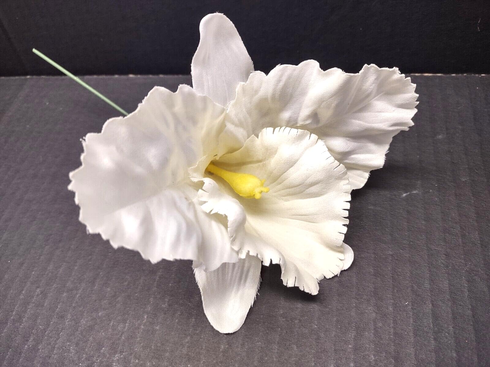 Amazon.com: Artificial Single Cattleya Orchid Blossom White : Home