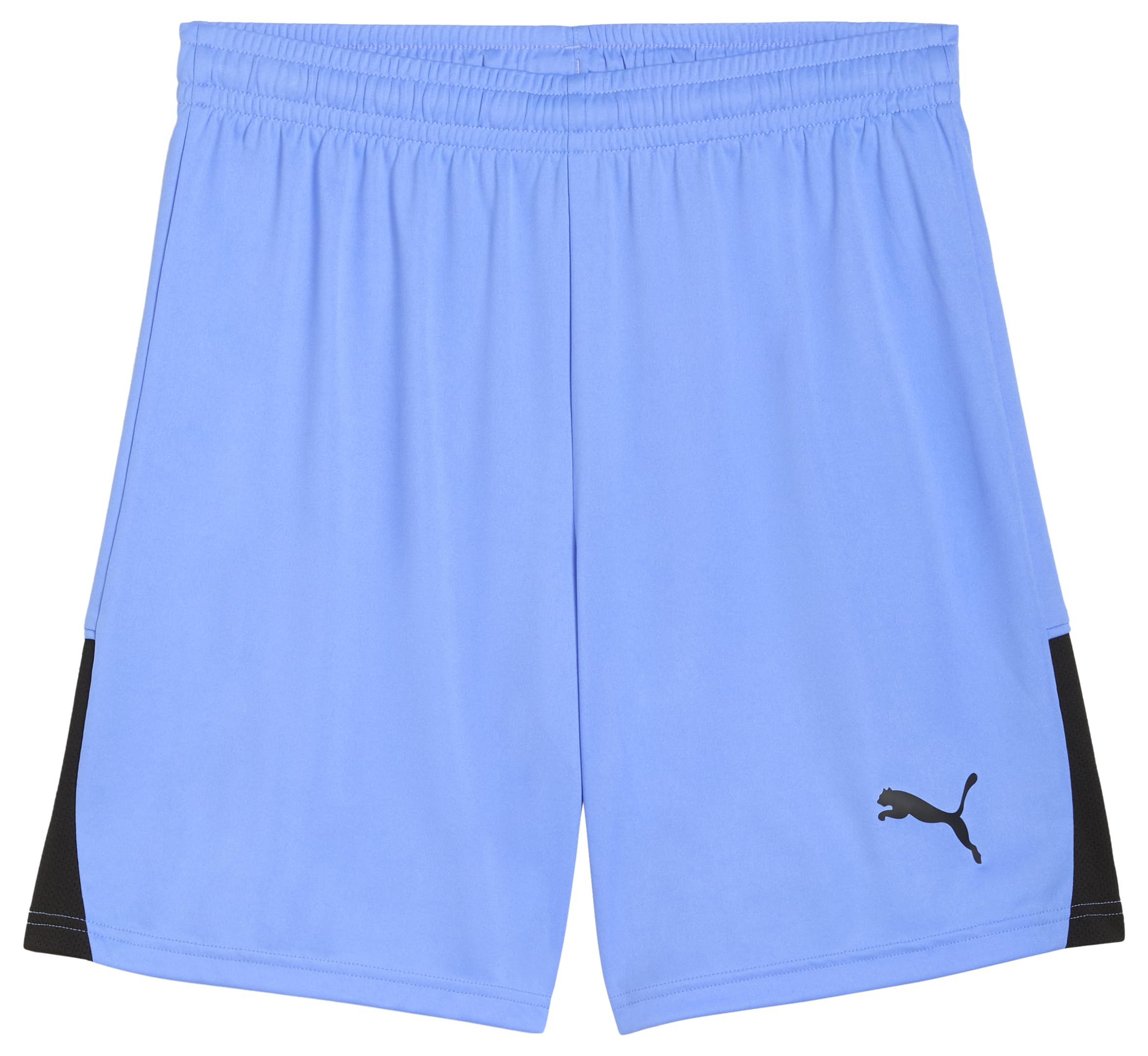 PUMA teamLIGA26 Shorts