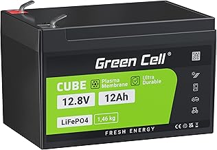 Green Cell Batterie LiFePO4 12 Ah 12,8 V 153,6 Wh Batterie au lithium 12 V BMS intégré, plus de 5 500 cycles, durée de vie de 10 ans, pour UPS, alarme, jouets, détecteur de poissons, alimentation de s