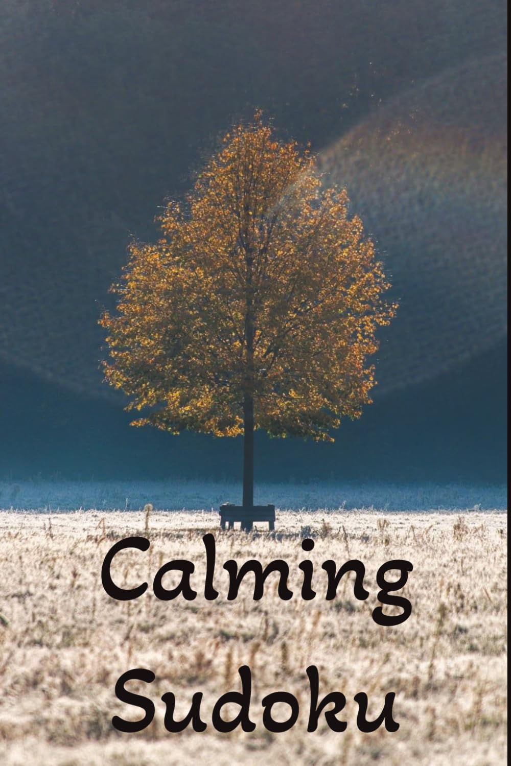Calming Sudoku Puzzle Book: Sudoku Puzzles for Calming / Calm the Mind and Relax / 6x9 inches, 120 pages / 55+ Puzzles / Solutions Included