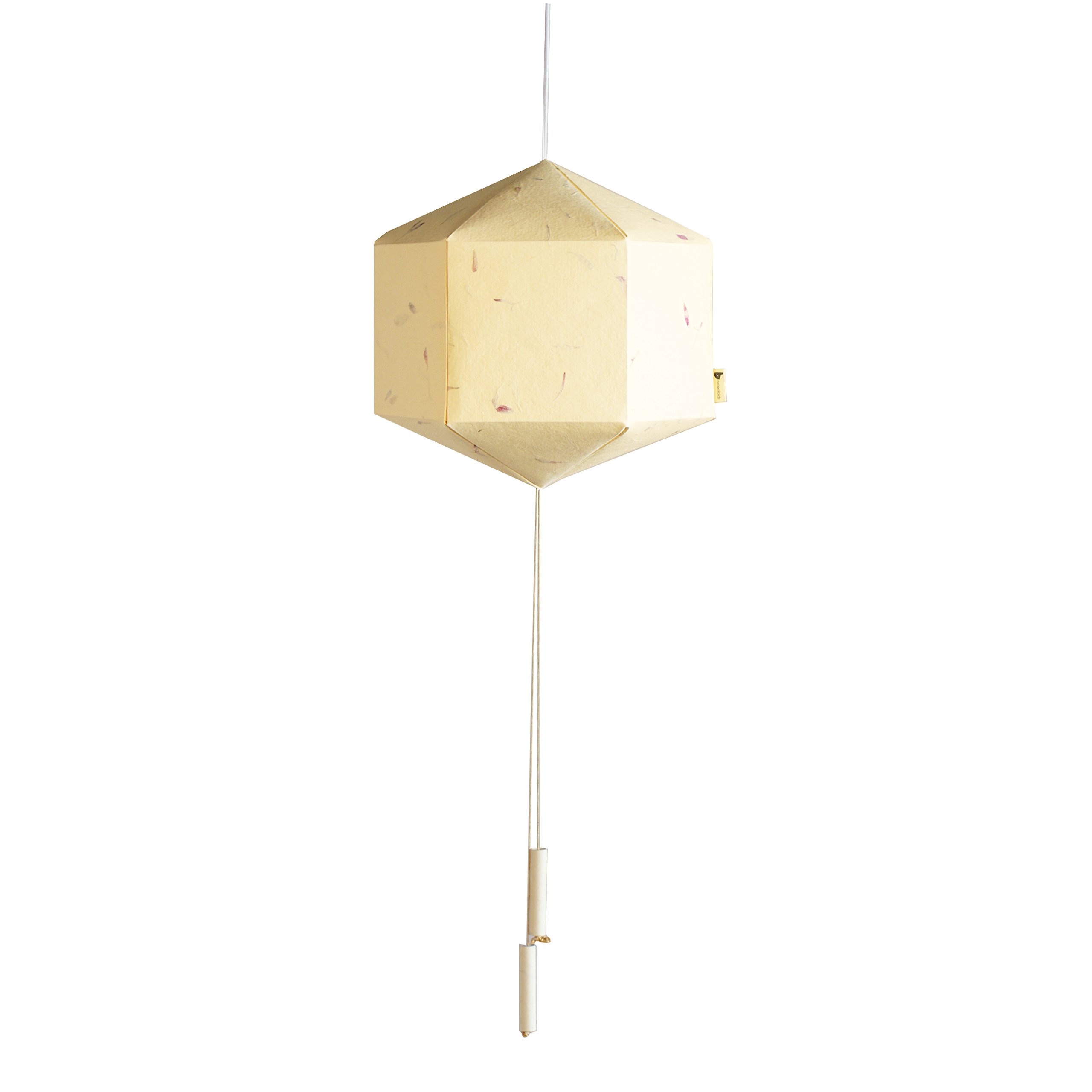 Brownfolds Paper Lantern; Handmade Paper with Red Flower Petals Pastel Yellow