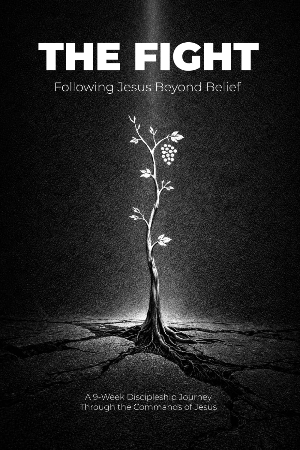The Fight: Following Jesus Beyond Belief: 2 (The Discipleship Journey)