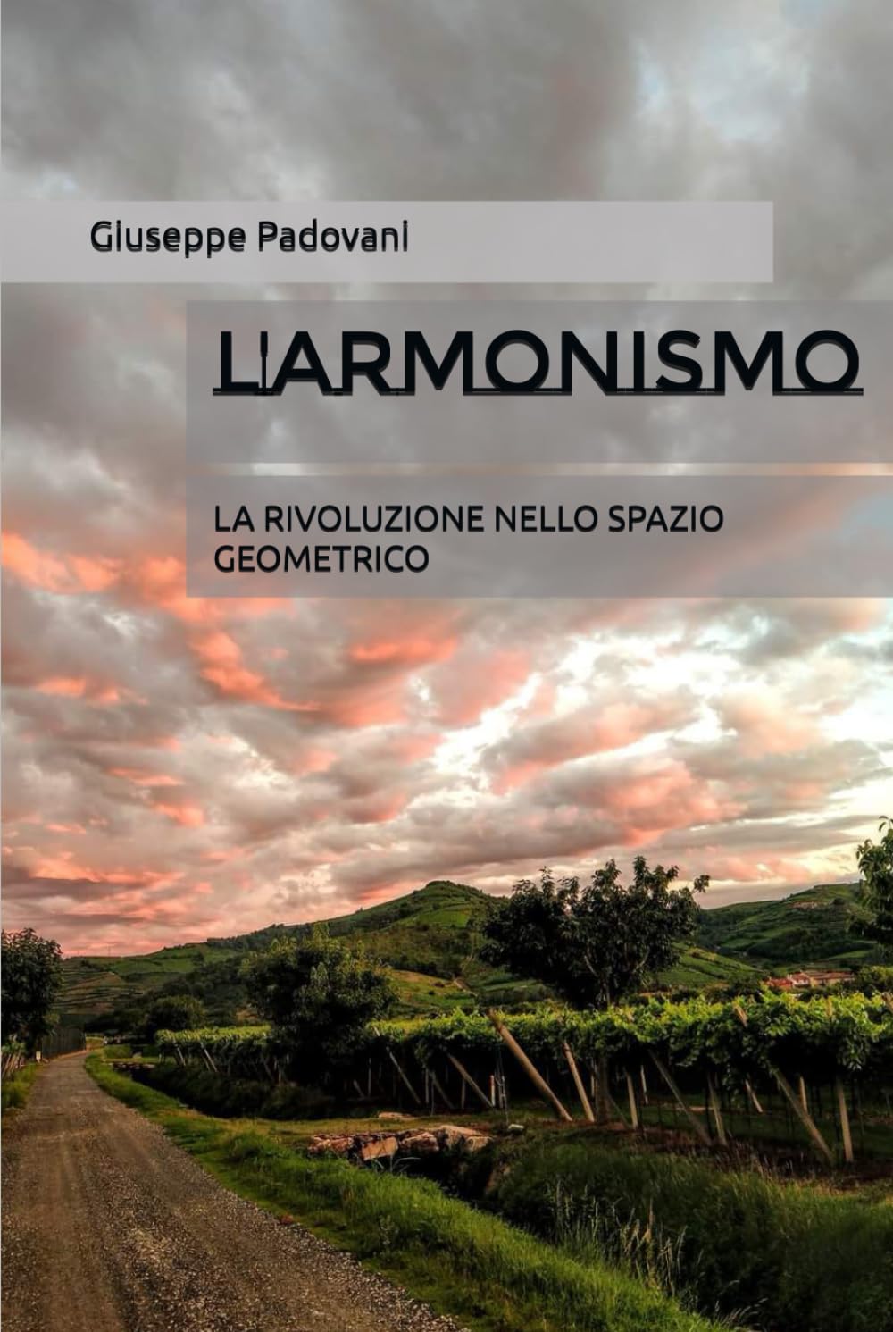 L'ARMONISMO: LA RIVOLUZIONE NELLO SPAZIO GEOMETRICO