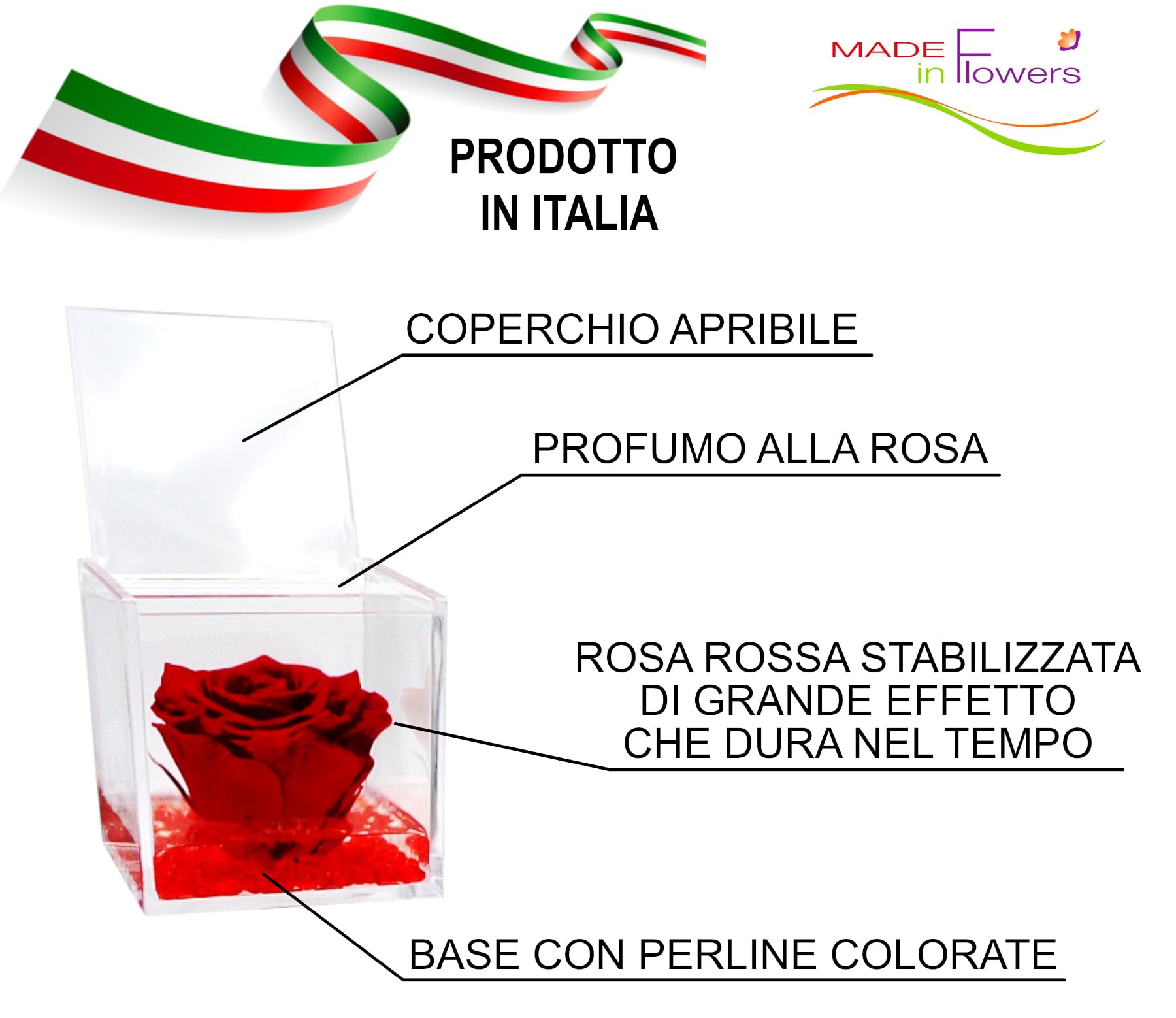 Rosa Rossa Vera Regalo Donna Anniversario Natale Festa Pensiero Mamma Fidanzata Cerimonia Dono Eterna Stabilizzata Profumata 8 cm