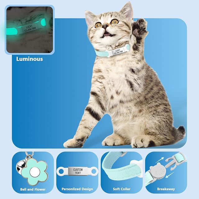 Foto 5 de 8 de Collar de Gato Grabado Personalizado, Etiqueta de identificación Deslizante para Mascotas