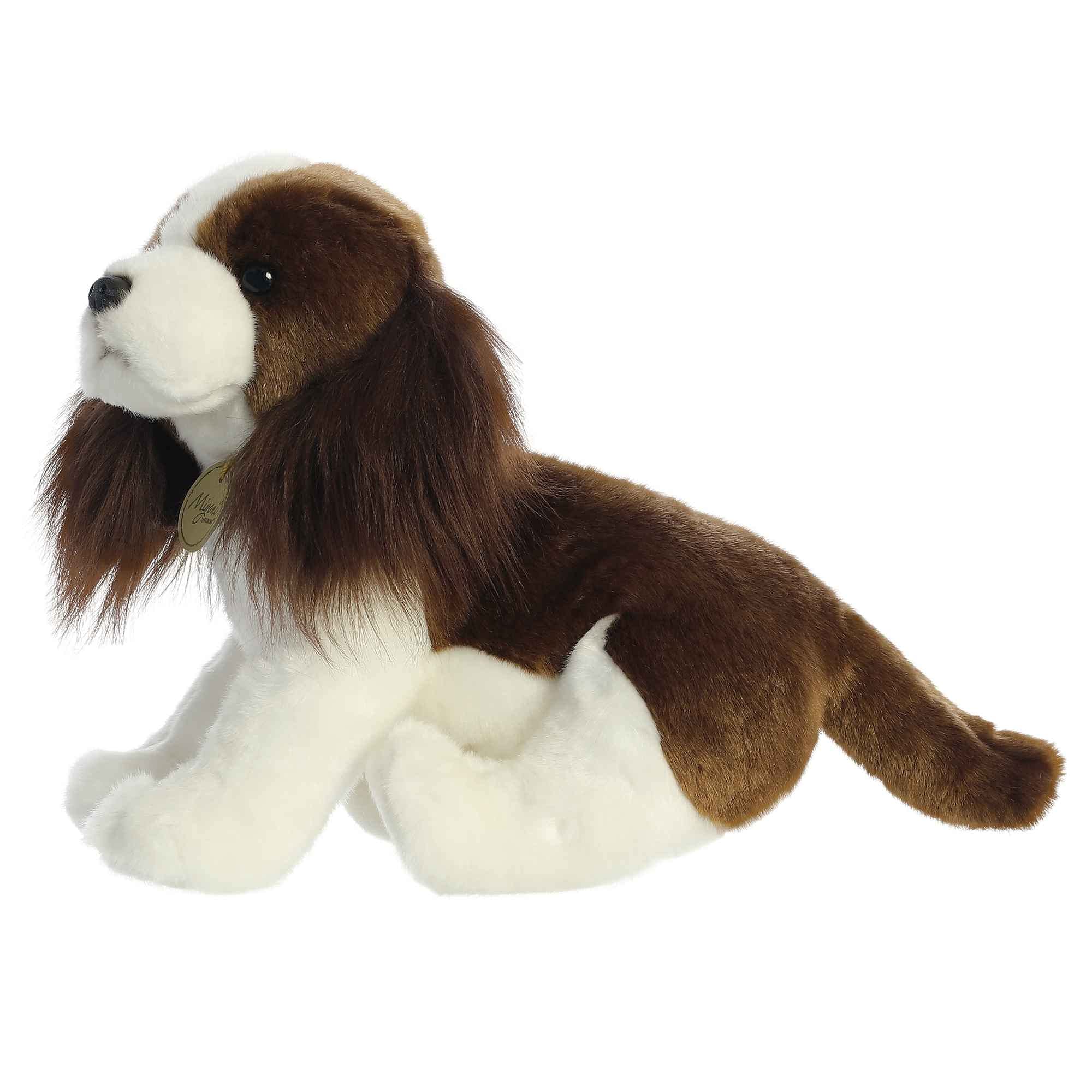springer spaniel webkinz