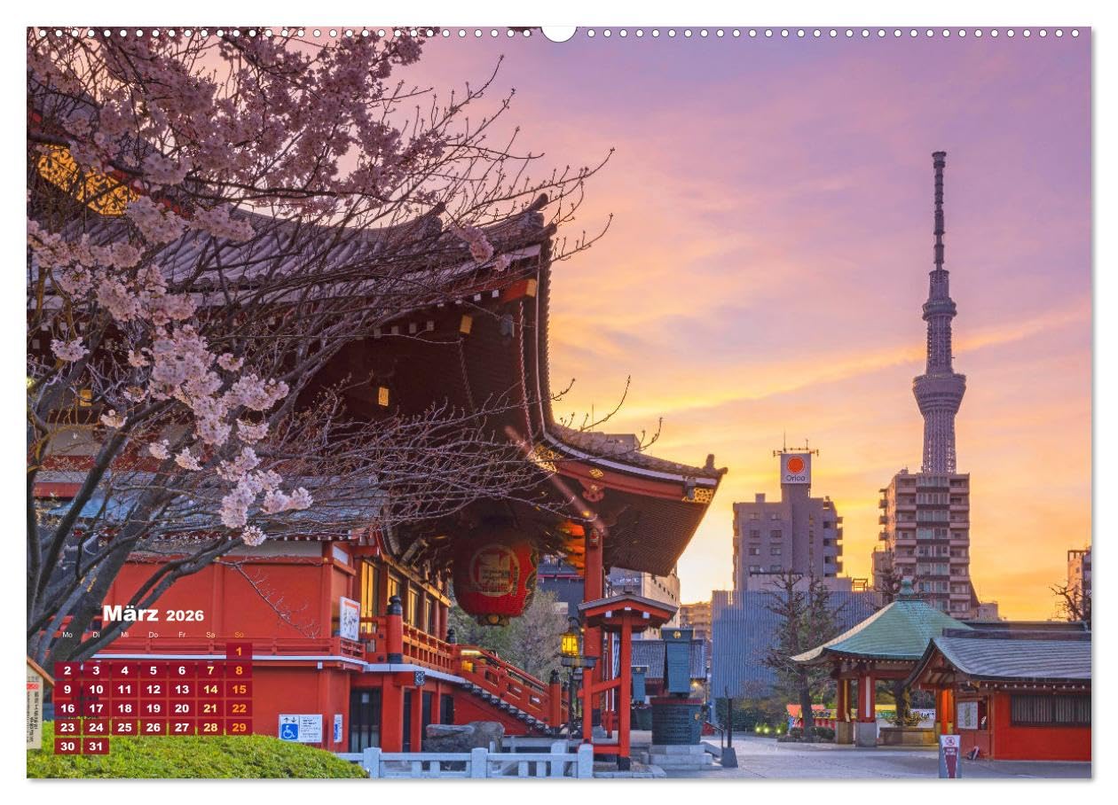 Tokio: Lichter einer Stadt (hochwertiger Premium Wandkalender 2026 DIN A2 quer), Kunstdruck in Hochglanz: Tokio: Japans Haupstadt bei Nacht (CALVENDO Orte)