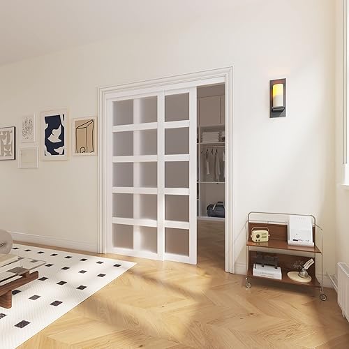 Puerta corrediza de armario, 60 pulgadas (doble 30 pulgadas) x 80 pulgadas, puerta corredera de vidrio esmerilado 5-Lite con kit de riel de hardware