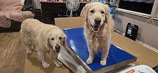 Review Image by Joseph Belanich Joseph Belanich