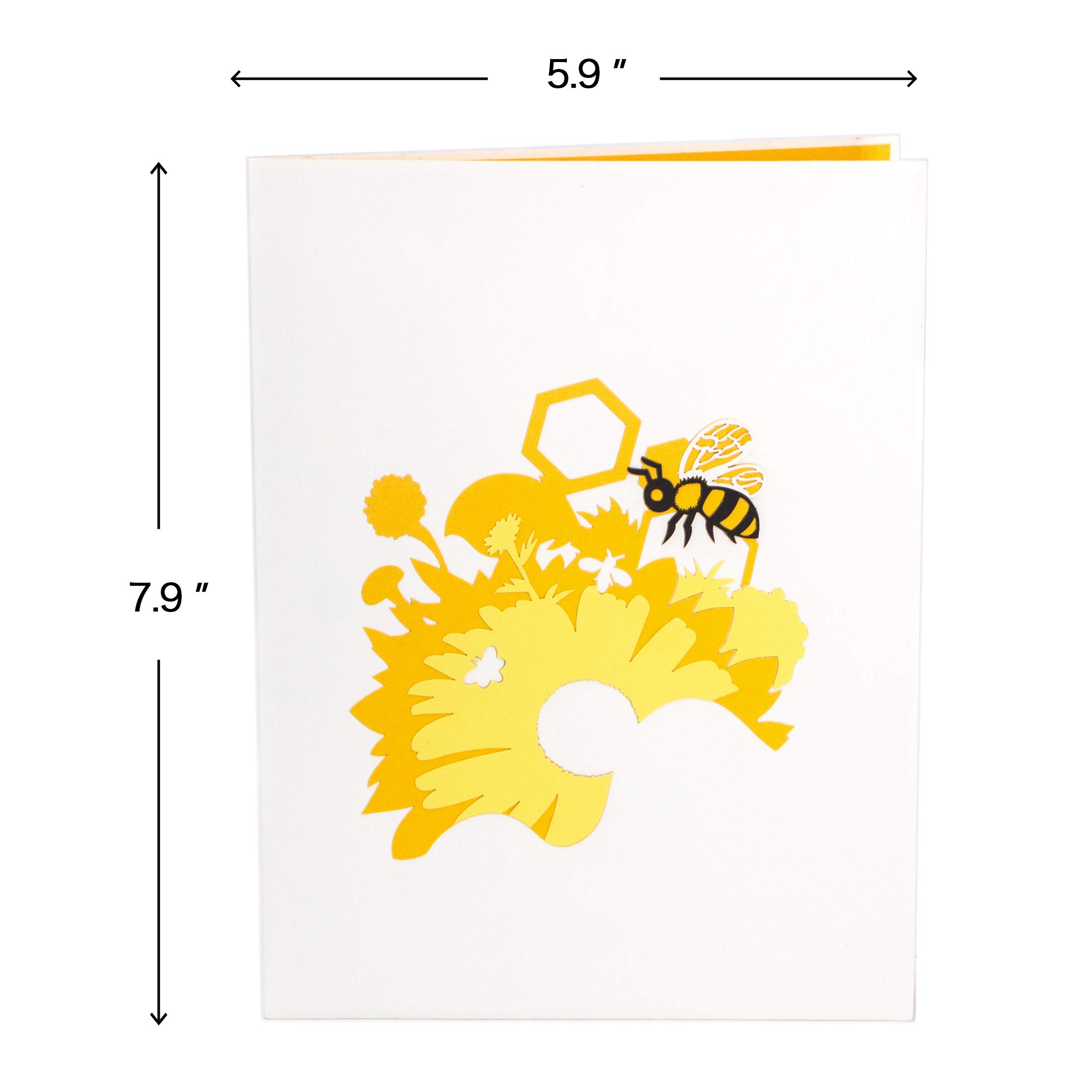 IGifts And Cards Happy Floral Bee 3D Pop Up Greeting Card - Thinking Of You, Happy Birthday, Mother's Day, Get Well Soon, Miss You, Congratulations