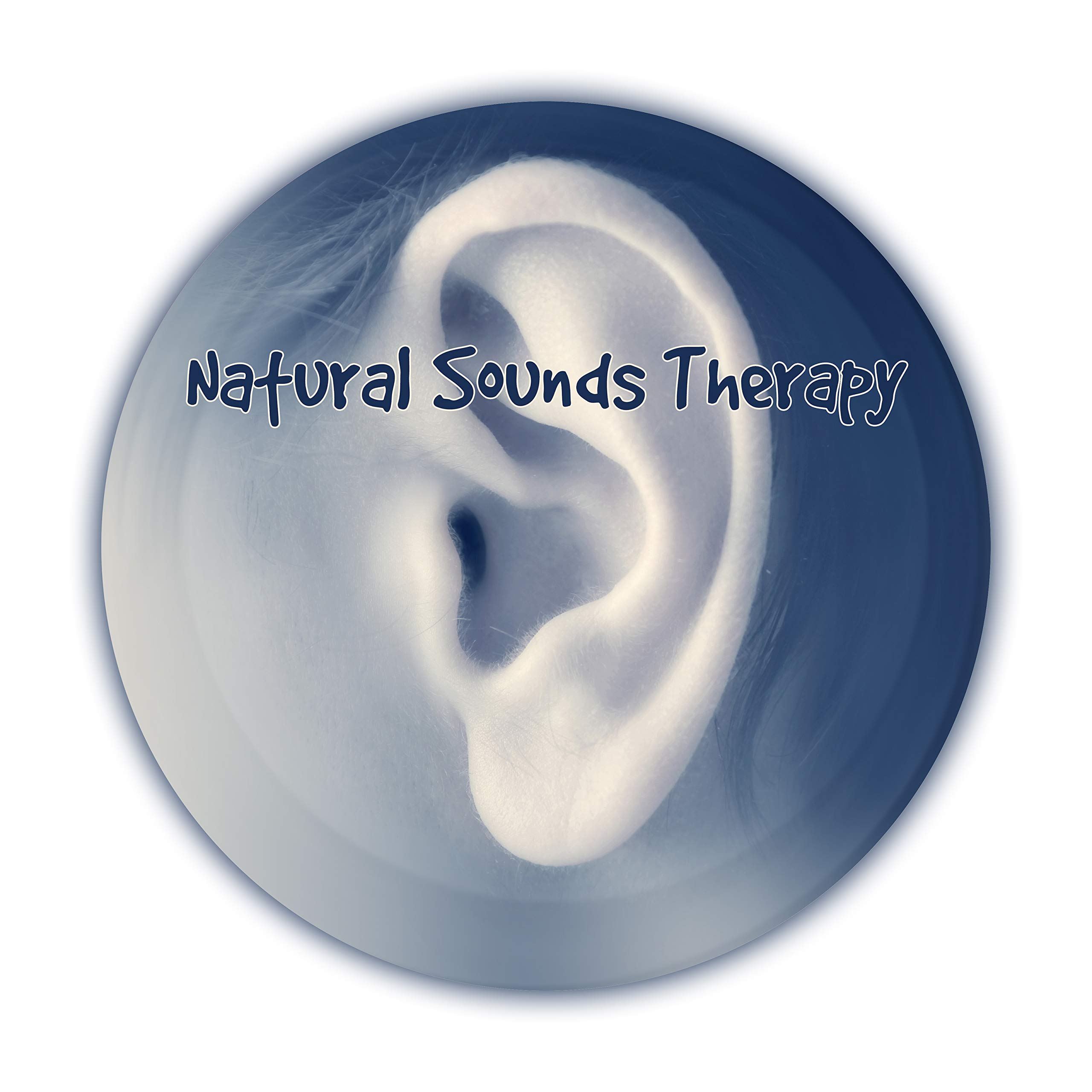 Soothing Background Office Music Ensemble