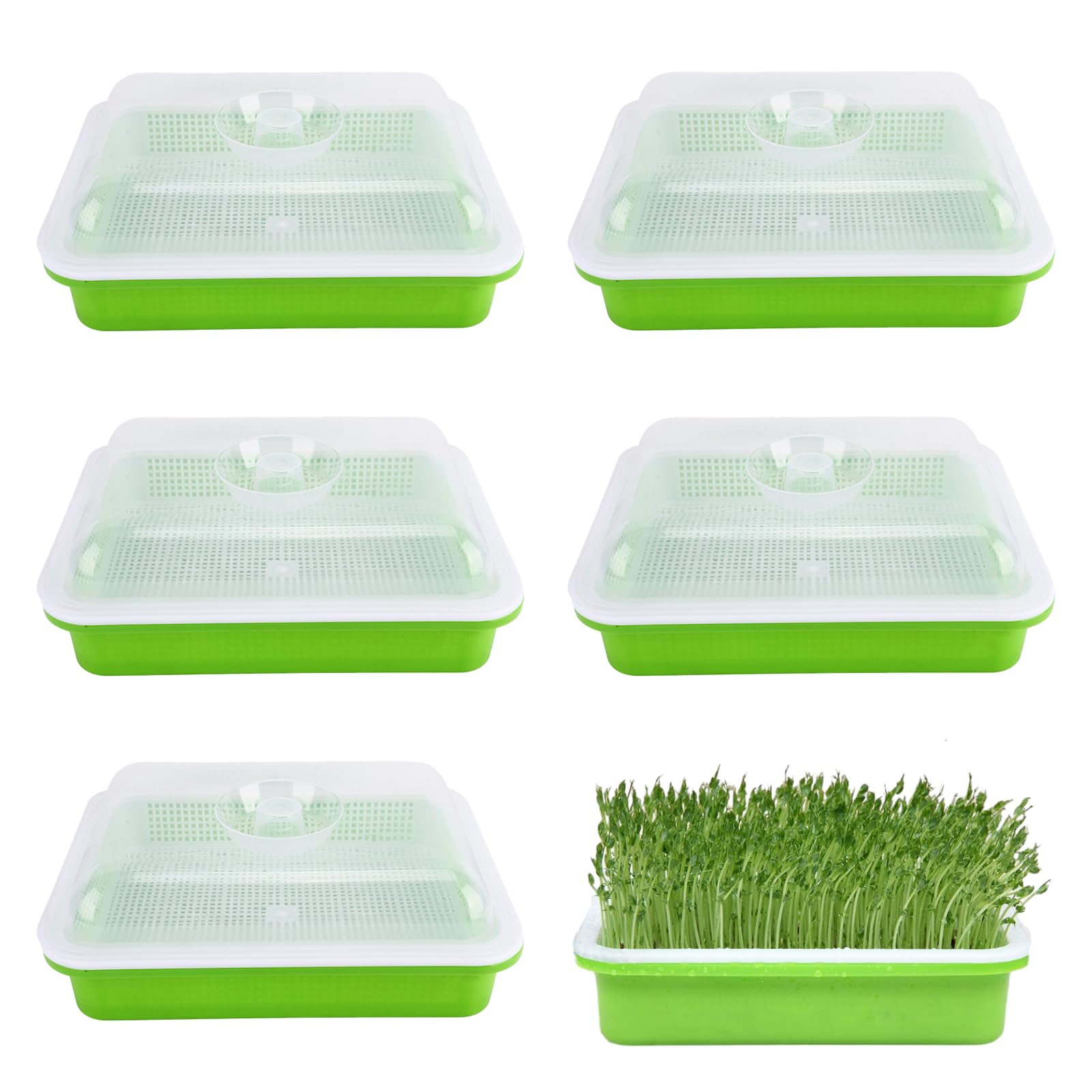 Homend 5 Pack Seed Sprouter Tray With Lid, Seed Germination Tray BPA Free Nursery Tray For Seedling Planting Great For Garden Home Office (5),Green, White