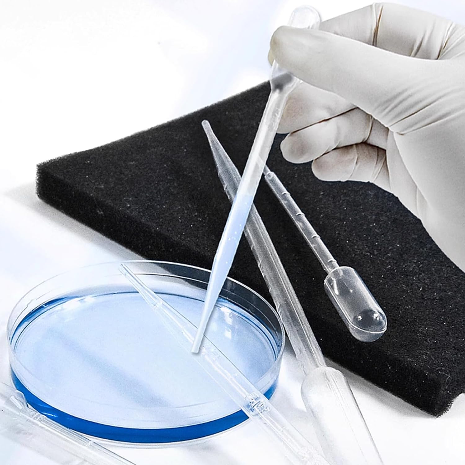Laboratory Disposable Plastic Pipette Squeeze Transfer Pipettes Dropper Transparent Pipette with Individual Packaging (100, 2ml)