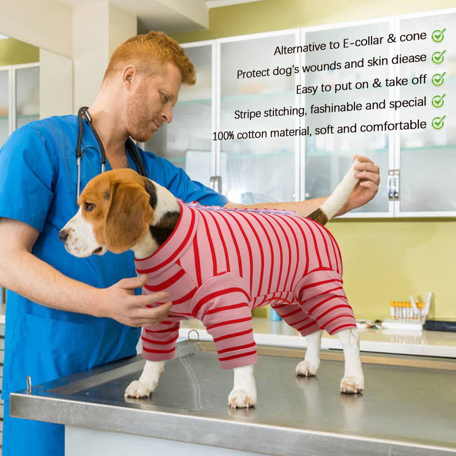 Kuoser Combinaison de récupération pour chien Combinaison à manches longues après une chirurgie Pour la perte de la peau Protection contre les maladies de la peau Pyjama antiléchage