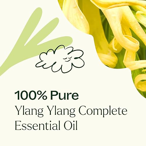 Miniatura 5 de Plant Therapy Aceite esencial completo Ylang Ylang 100% puros, sin diluir, grado terapéutico. 1/3 oz.