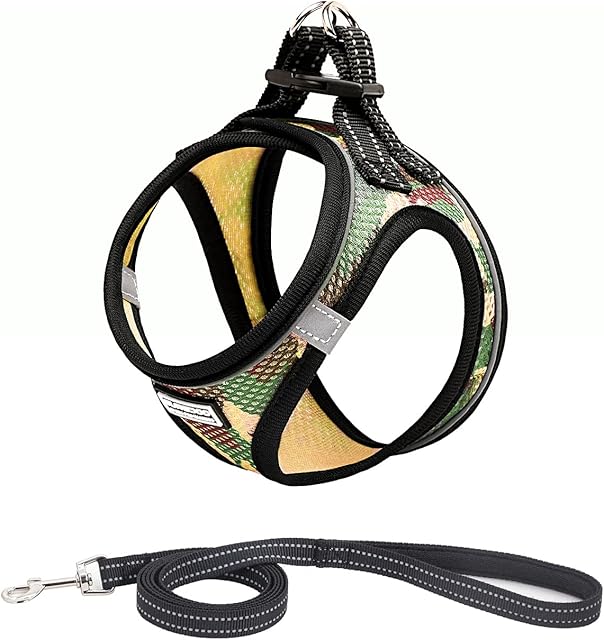 Suredoo Pet Reflective Soft Mesh Dog Harness and Leash Set, No Pull Breathable Padded Step in Vest Harness Leash Set, Comfort Training Walking for Small Dogs Cats (S, Camo Green)