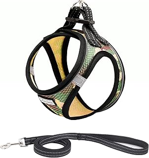 Hundegeschirr mit Leine Anti Zug Geschirr Reflektierend Brustgeschirr für Kleine Hunde, Haustiere, Welpen, Katzen (M, Camo Grün)