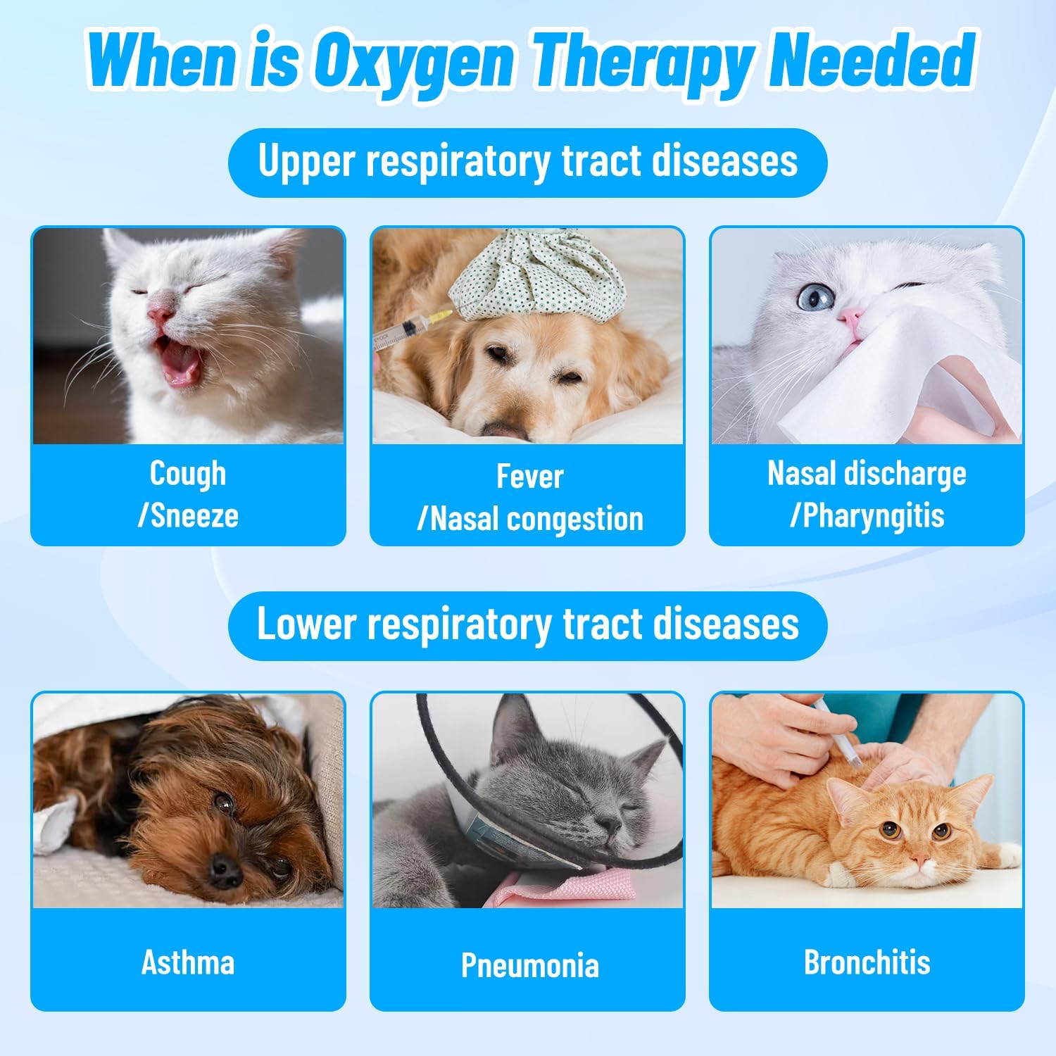 Pet Oxygen & Nebulizer Cage for Cats/Dogs, Tube Kit & Mat Included (Sizes: Small 23'', Up to 30Lbs)