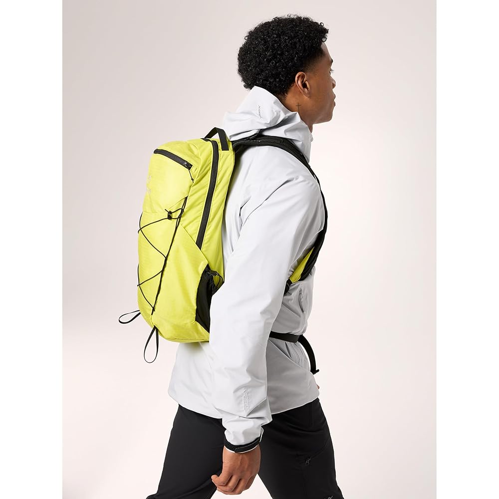Amazon.co.jp: [アークテリクス] ARCTERYX エアリオス18バック