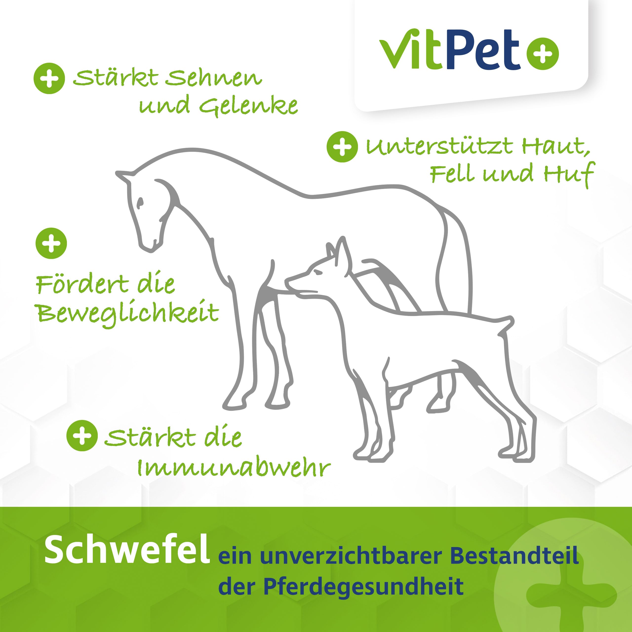 MSM Cheval – Premium MSM Poudre pour chevaux dans un seau de 1,8 kg avec cuillère doseuse (méthylsulfonylméthane / poudre de soufre pour chevaux et chiens)