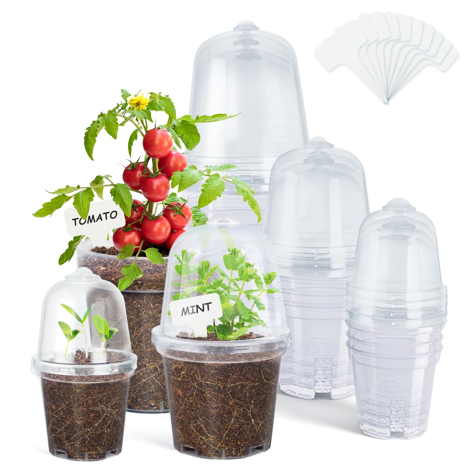 homenote Clear Nursery Pots