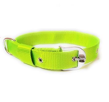 Pet D Nylon Double Layer Collar for Dogs (Medium to Large Size Dogs) (Neon)