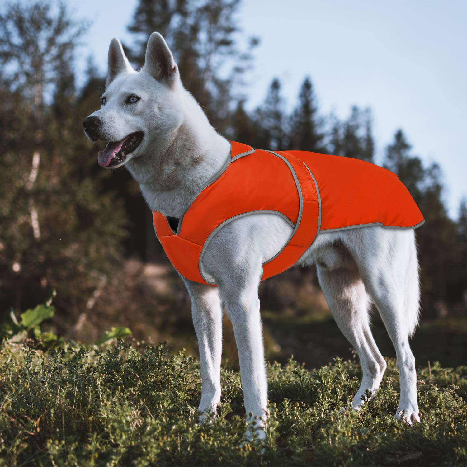 MIGOHI Reflective Dog Coat, Cold Weather Warm Dog Jacket, Waterproof
