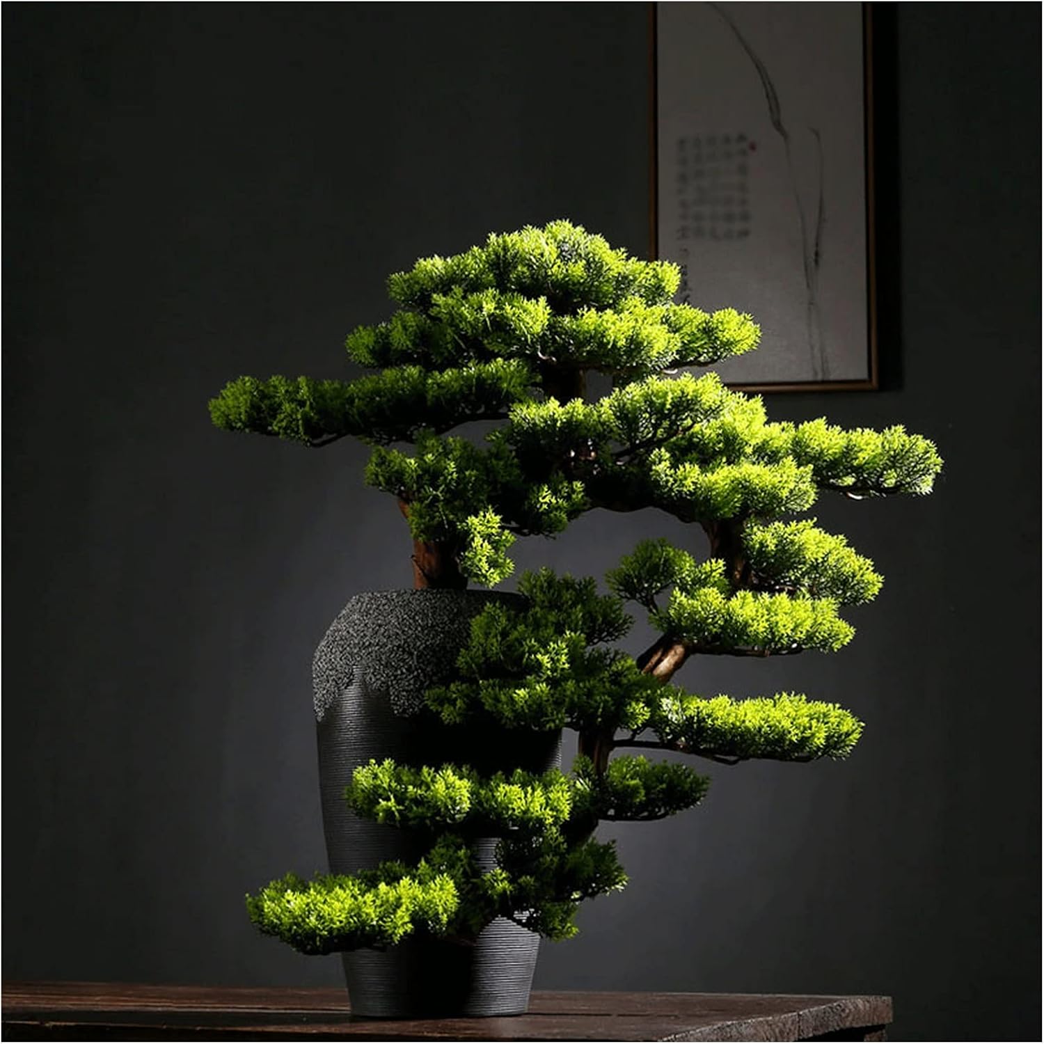 赤松 [文人木] 大品盆栽 【公式通販】 赤松 文人木 中盆栽 根上り