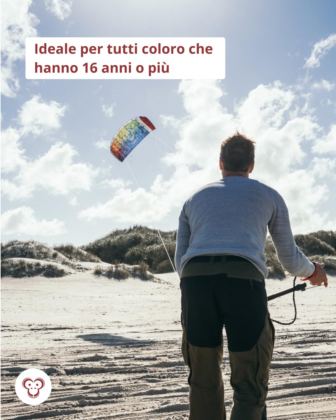 Skymonkey Windtrainer Aquilone da trazione 4 Cavi Ready 2 Fly 230 cm 330 cm Verde Petrolio