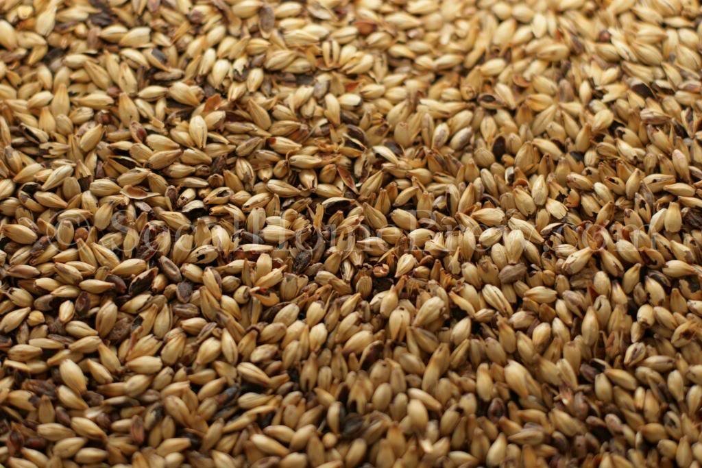 SocalHomeBrew3646037 Crystal 80 L (1 lb.)