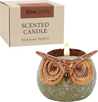 Eulenkerze Geschenk für Frauen, Vanille 350g Duftkerze mit getrockneten Blumen, Weihnachtskerzen-Geschenkset mit 30 Stunden Brenndauer