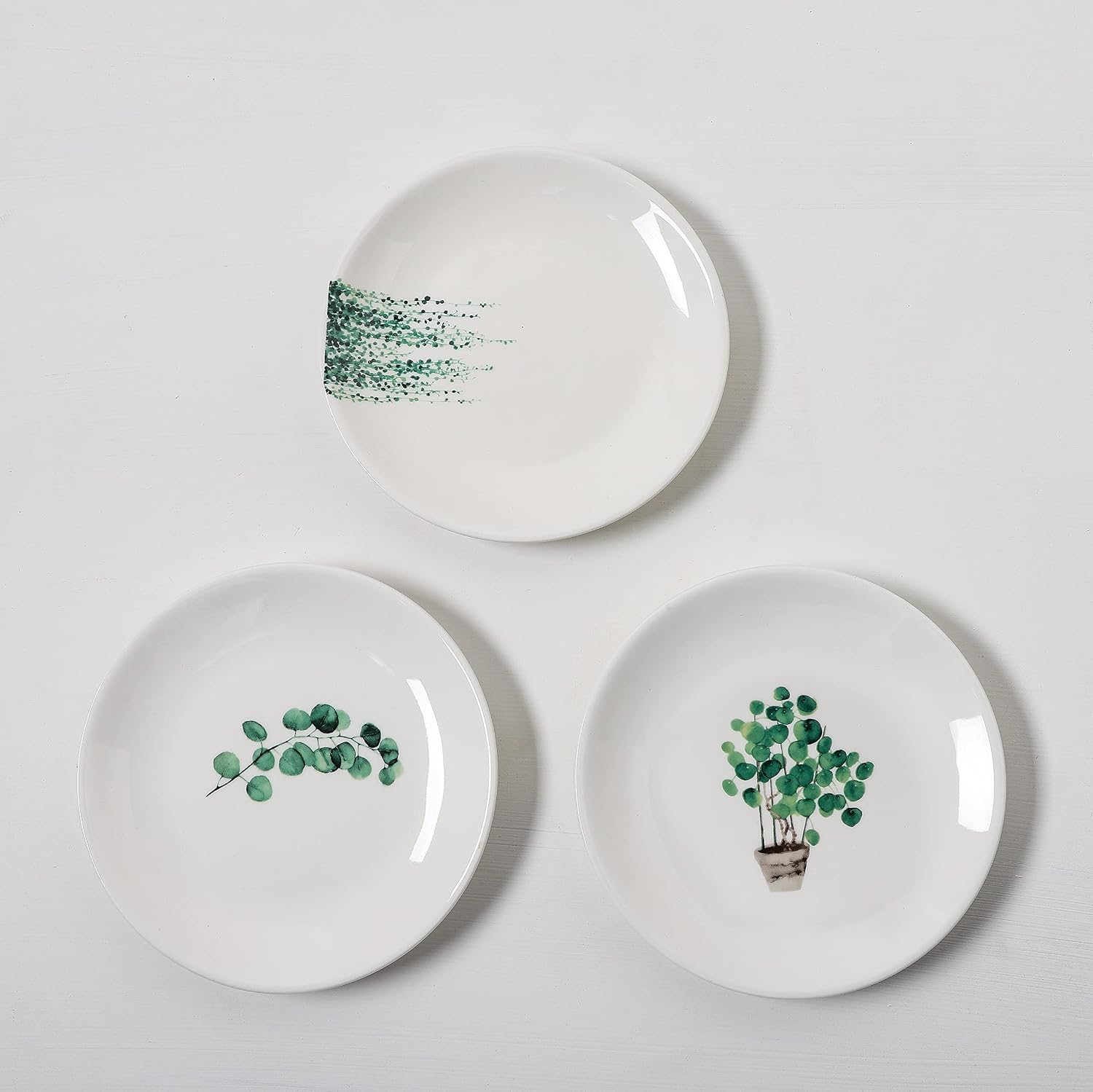 6 Inch Set of 6 Assorted Designs, Small Porcelain Plates with Plants Pattern,White Ceramic Dinnerware for Appetizer Luncheon Snacks Dessert Serving Bread, Microwave Oven Dishwasher Safe