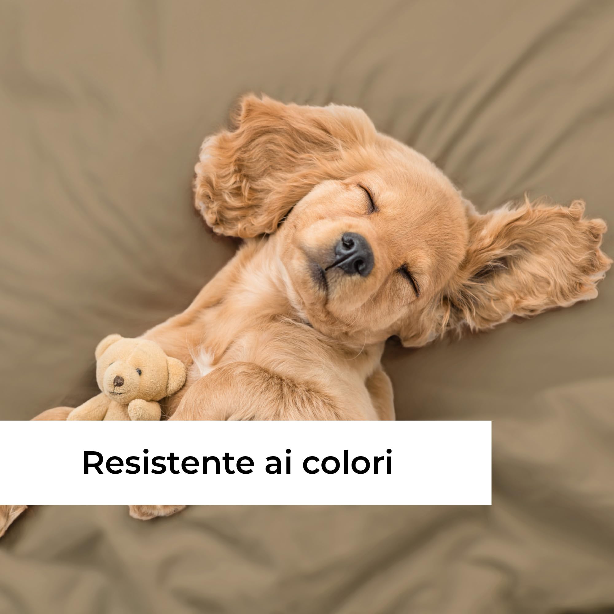 Lenzuolo con angoli 120x200 Beige 40 cm profondità - Lussuoso lenzuolo - Per letti a molle - Per materassi fino a 40 cm di altezza - Morbido, senza pieghe e traspirante - Confezione singola