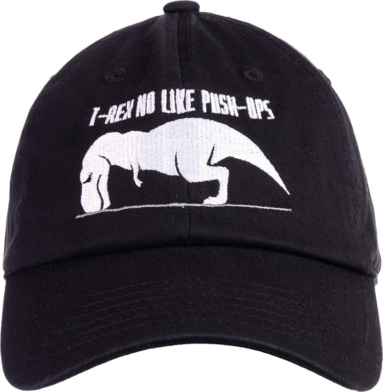 Ann Arbor T-shirt Co. Assorted Funny Dad Humor Joke Baseball Hats