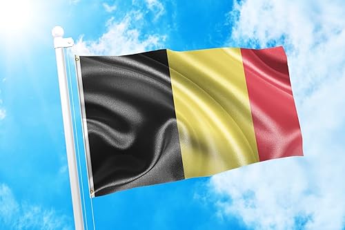 Miniatura 2 de DMSE Bandera del Reino de Bélgica negra, amarilla y roja, 2 x 3 pies, 100 % poliéster, 100 % poliéster, resistente a los rayos UV (2 pies x 3 pies)