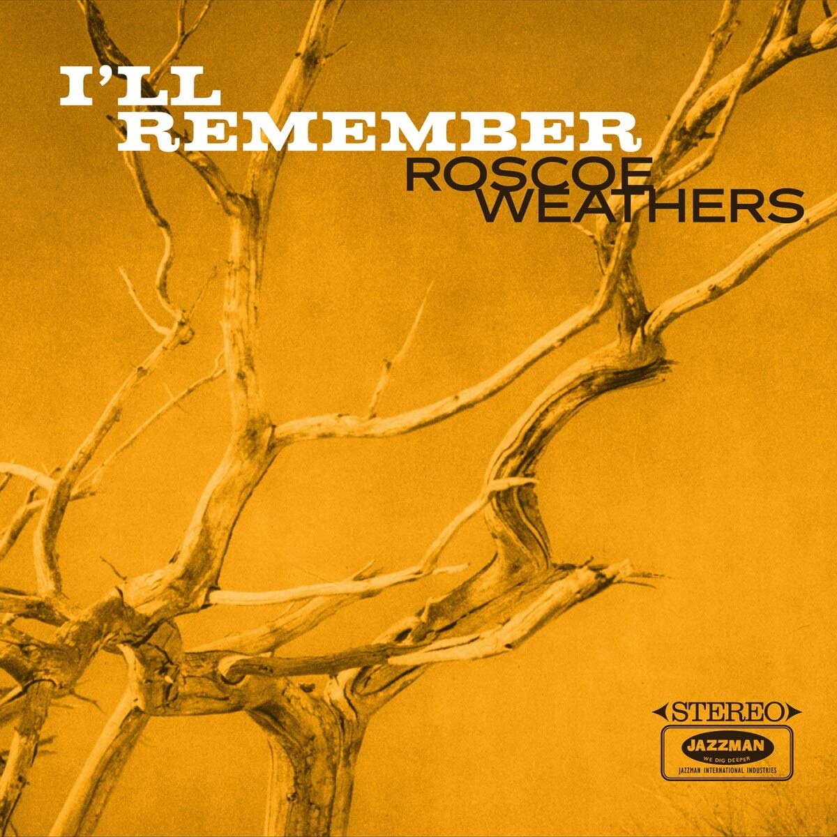 I'Ll Remember [Vinyl LP]