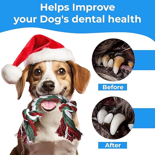 Miniatura 3 de Stride Juguetes grandes para perros, juego de 13, juguetes de cuerda para perros, juguetes resistentes para masticadores agresivos, juguetes