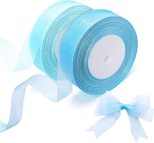 2 Rolls of Organza Ribbon, Clear Chiffon Ribbon, 20mm x 45m Each, for DIY Crafts, Ribbons for Gift Wrapping, Birthday Party Ribbon Decoration (Blue Ribbon)